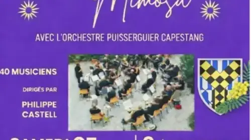 Concert du Mimosa