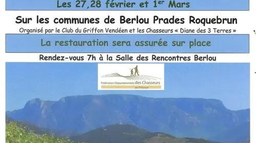 BREVET DE CHASSE SUR SANGLIER